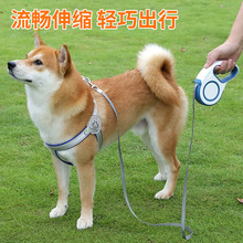 自動伸縮牽引繩狗狗3m貓咪牽引繩外出5米繩狗鏈寵物用品遛狗繩