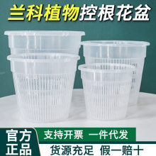 ���m�����m�ظ�͸�⌣�û��� ����͸����� �A�λ���ֲ�ﻨ�����l