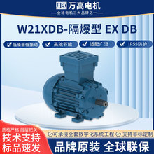 W21Xdb-Ex db늙Cwۉm늙CúV᷿܇g늙C