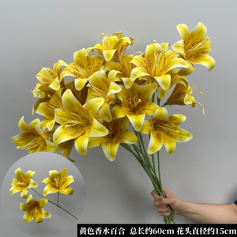 노란 향수 백합