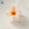 Сахарный апельсин (8 см, большой)