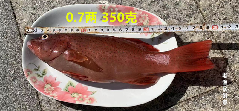 19597f3476677af03ae472d3e4e591