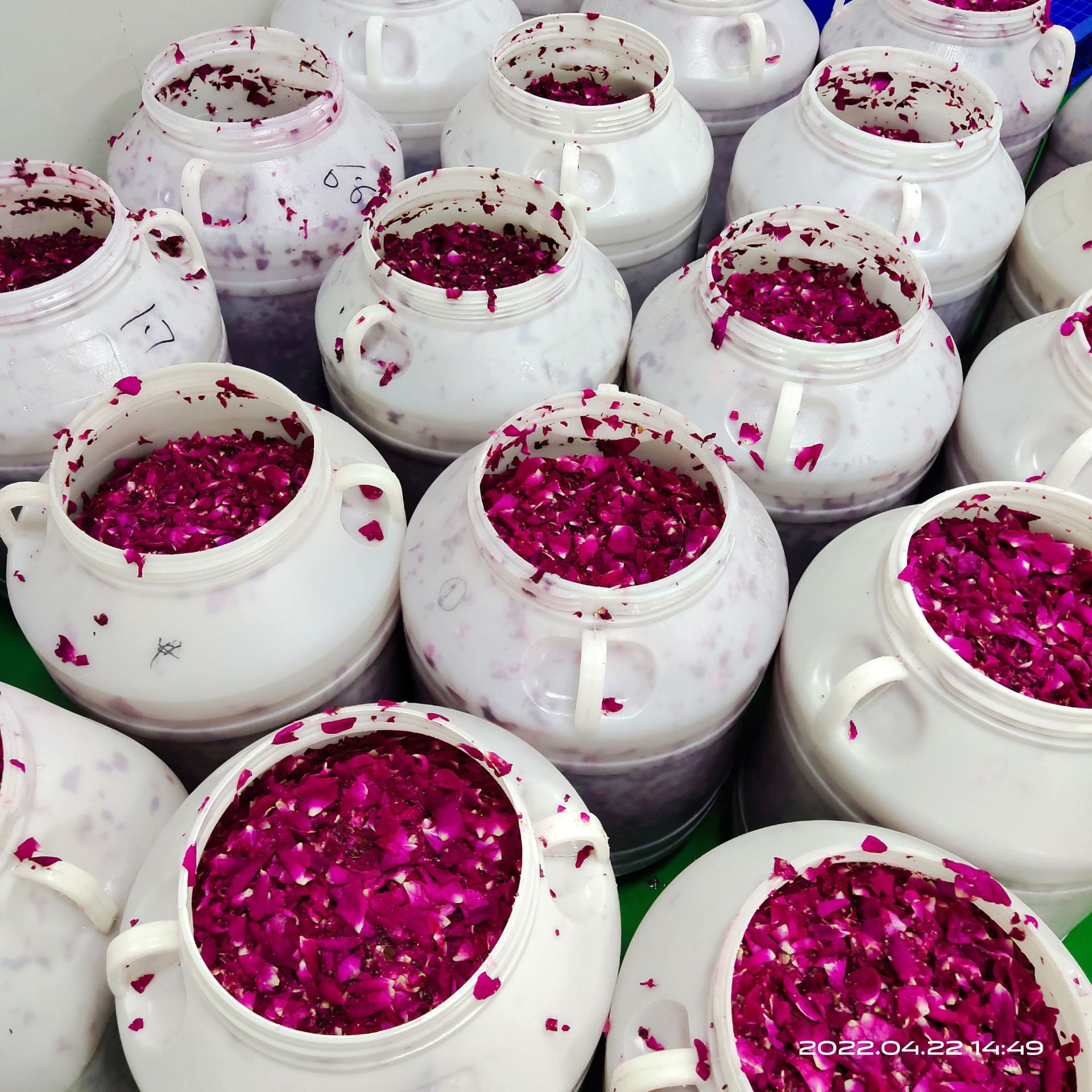 Yunnan Academy of Agricultural Sciences Rose Jam Commercial Bucket Pack Baking Ingredient Flower Cake Mooncake Filling Icicle Jam Wholesale