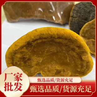 �F؛ɣ�Sysɣ�Sɣ���S��ș�����l�a���������M��ƬƬ��߅ș��