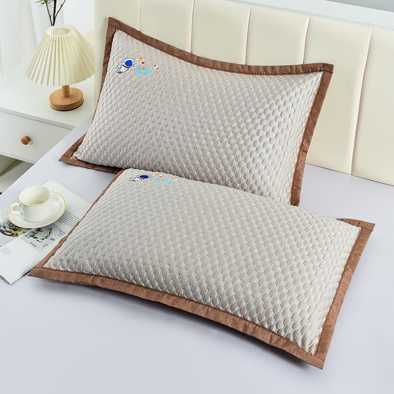 다크 브라운 우주 비행사