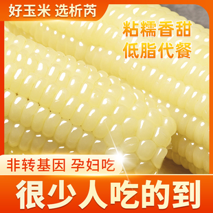 ���ǖ|���ЙC��Ŵ�������rŴ��������b���b��������������ʳ����