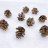 Plastic pine cones 3cm
