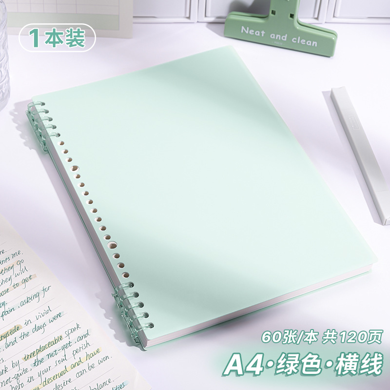A4 horizontal line · 1 book [green] 120 pages in total