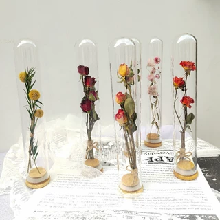 装饰品单枝纸盒包装轻奢北欧干花试管室内手工干花摆件装饰品礼品