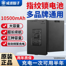 ָyiTiCCеiȫԄӲP늳6LmSֱN