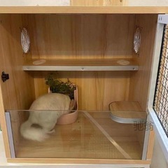 Luxury solid wood Totoro cabinet cage, multi-level villa-style habitat for sugar gliders, rabbits, hamsters, and squirrels—crafted from eco-friendly wooden panels.