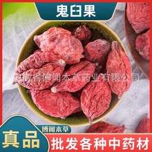中药材鬼臼果 西藏精选无硫干鬼臼果 西藏桃儿七各种冷背奇中药材