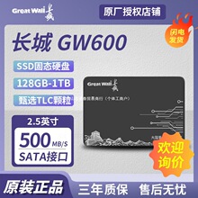 ���ó���GW600 128G/256G/512GB/1TB ��̬Ӳ�� SATA3.0�ʼǱ�̨ʽ
