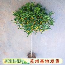 �𻨘����ļ�����ͻ��ܰ���ͥԺԭ���ߗU������̨�w���������