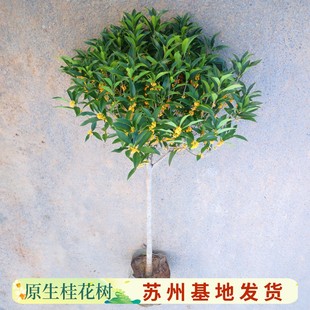 �𻨘����ļ�����ͻ��ܰ���ͥԺԭ���ߗU������̨�w���������