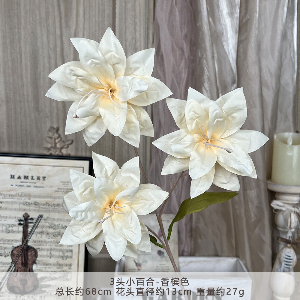 Y-3头小百合--香槟