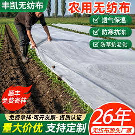 厂家PP纺粘无纺布农用大棚种植保温防寒布园林防草无纺布卷跨境