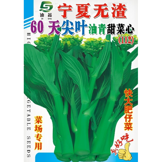 菜心种子宁夏无渣60天尖叶油青甜菜心种籽广东菜心青菜种籽盆栽蔬