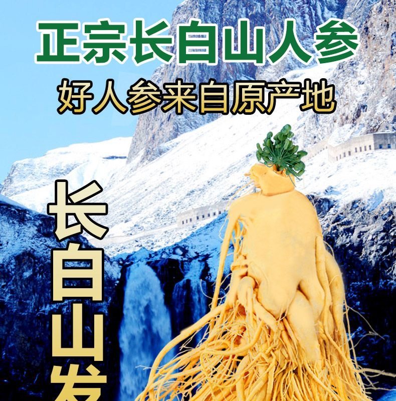 Ginseng Root Ren Shen 长白山人参 Whole Dried Root for Wine Infusion and Cooking 100g overview
