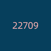 22709纯亚麻连衣裙 无袖多褶皱设计【有新颜色 】新价2024 -04-18