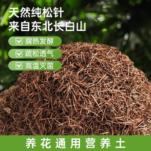 �m��������ɘ丯�~�l�͸�����ᘶ�������m������Ȼ�I�B��ֳ����
