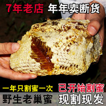 野生蜂巢蜜嚼着吃蜂蜜老巢蜜农家秦岭土蜂蜜自产蜂巢蜂窝