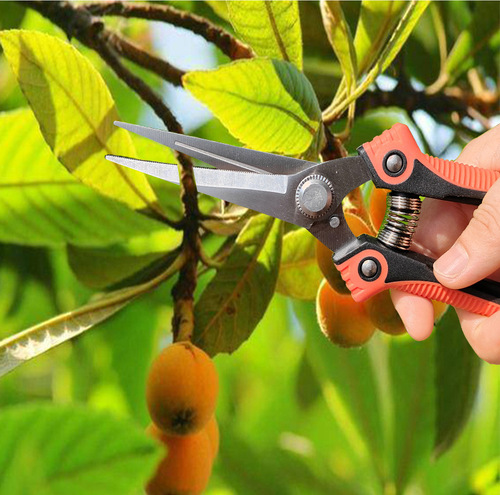 Factory Direct Wholesale Multi-functional Fruit Picking Shears Pruning Shears Fruit Thinning Red Garden Shears
