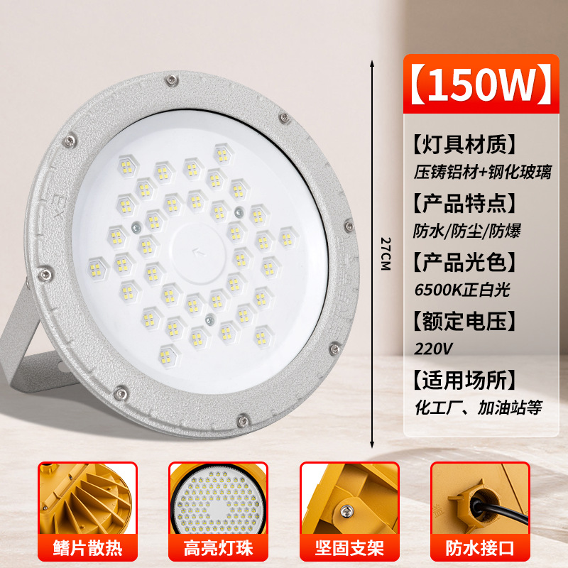 [그레이 라운드 EX 방폭등] 150W