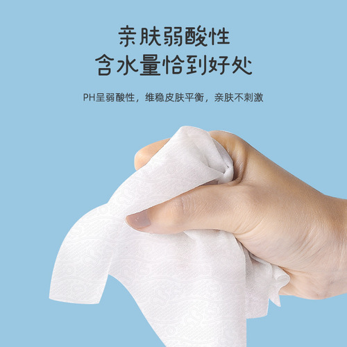Plant Protection Super Cute Duck Wet Toilet Paper Baby 5 Pack Private Area Wet Wipes Cleaning Large Pack Family Size Affordable First Generation Wholesale