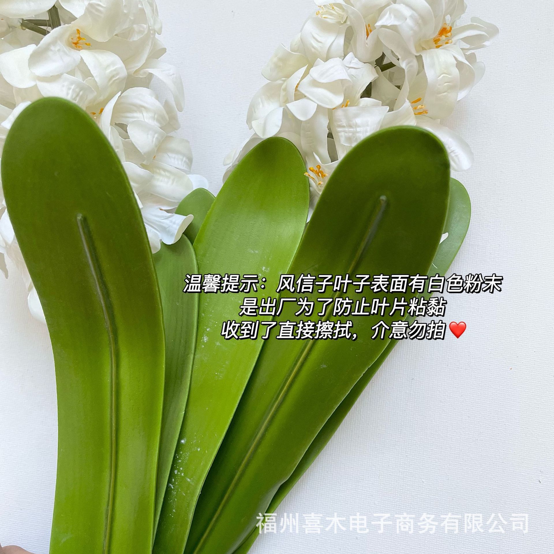 photo-output_6 3.JPEG