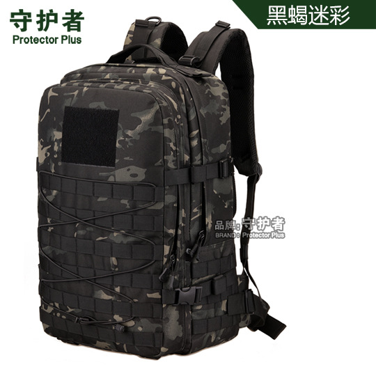 검은 전갈 위장