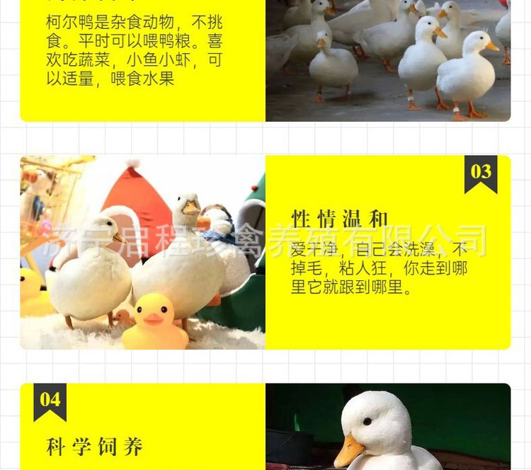 u=3964690865,2140481169&am