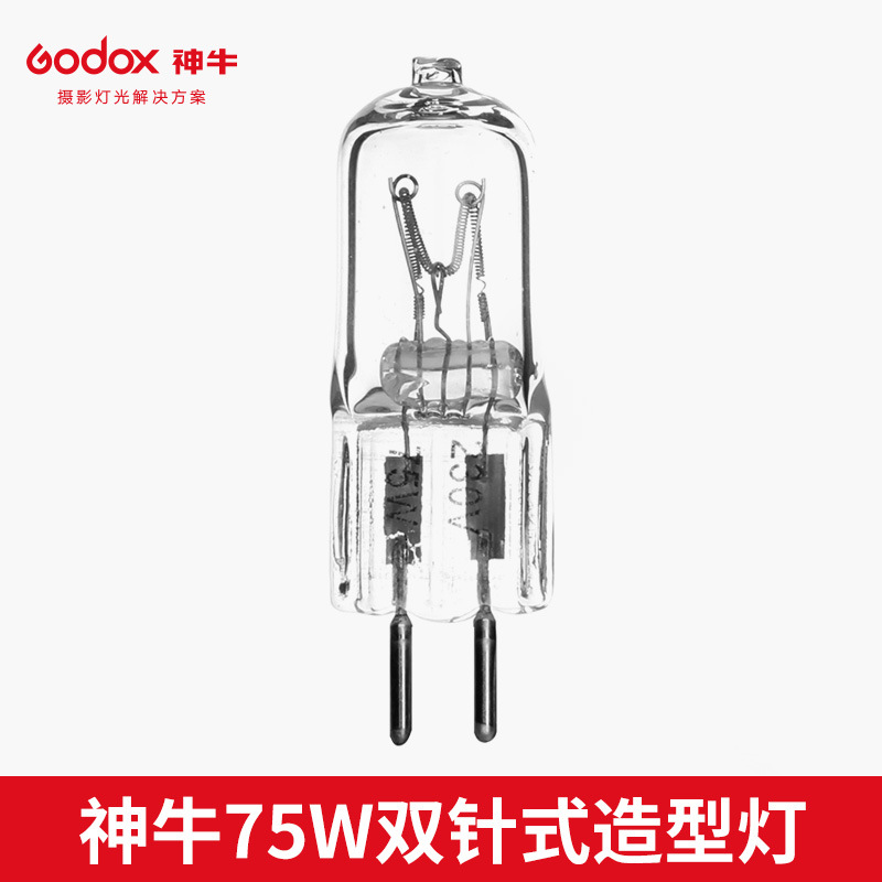 75w modeling bulb 220v [suitable for small studio flash]