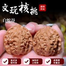 ������Ұ��߹�Ұ��С���{���^С������Ԫ���ְќZˮ��������l