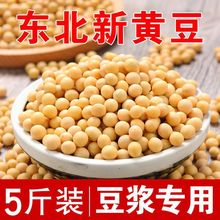 东北发芽黄豆打豆浆专用批发农家大粒新大豆土黄豆小粒