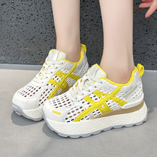 ��׾����W����ЬŮ2026�ļ��¿�ٴ��С�����p�����e�\��Ь��