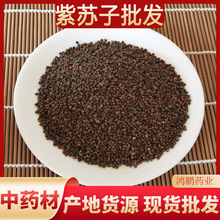 批发紫苏籽 中药才批发大苏籽 各种规格免费磨粉鹦鹉食鸟粮量大优