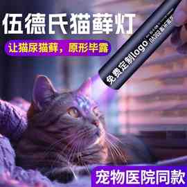 UV365nm紫光灯荧光剂猫藓检测紫外线手电筒Typec充电多功能蓝光灯
