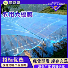 SֱN10ĤĤ͸oĤFPOĤӺ͸߲˴Ĥ