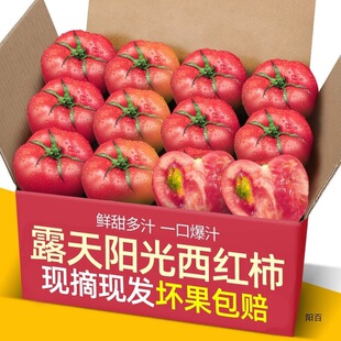 5���b����������Ȼɽ�|�FƤɳȿ���_��˹ˮ��������t��