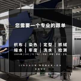 男女装针织面料布料平纹双纱双面布潮牌重磅纯棉汗布牛奶丝莱赛尔