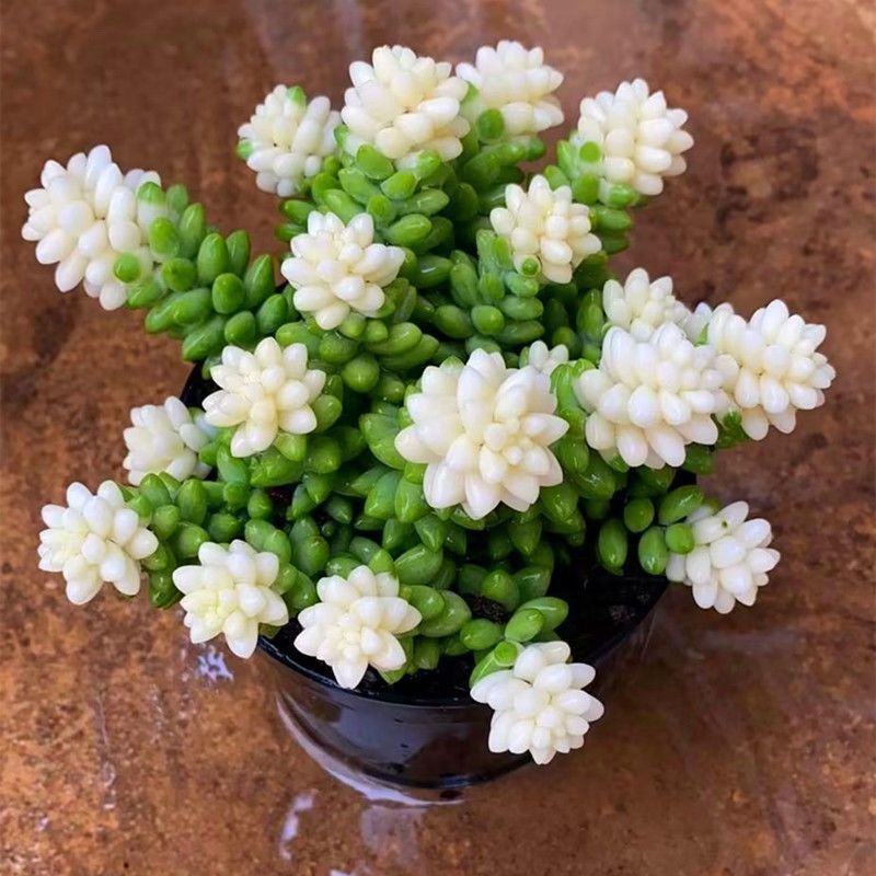 9094bfe9-df1e-4f00-b7fe-3acbb512b83b.jpe