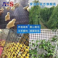 加厚塑料网格鸡鸭养殖网果园囤玉米网圈地围栏防护土工格栅漏粪网