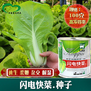 �W늿�˷N�� �r��˵��r���Nֲ�����s���͝����۰ײ˿����