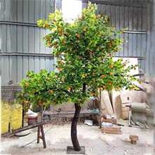 �������Ә��̈�ͥԺ�b����Ә�Gֲ��ؔ[��ˮ����@ˇ�쾰����