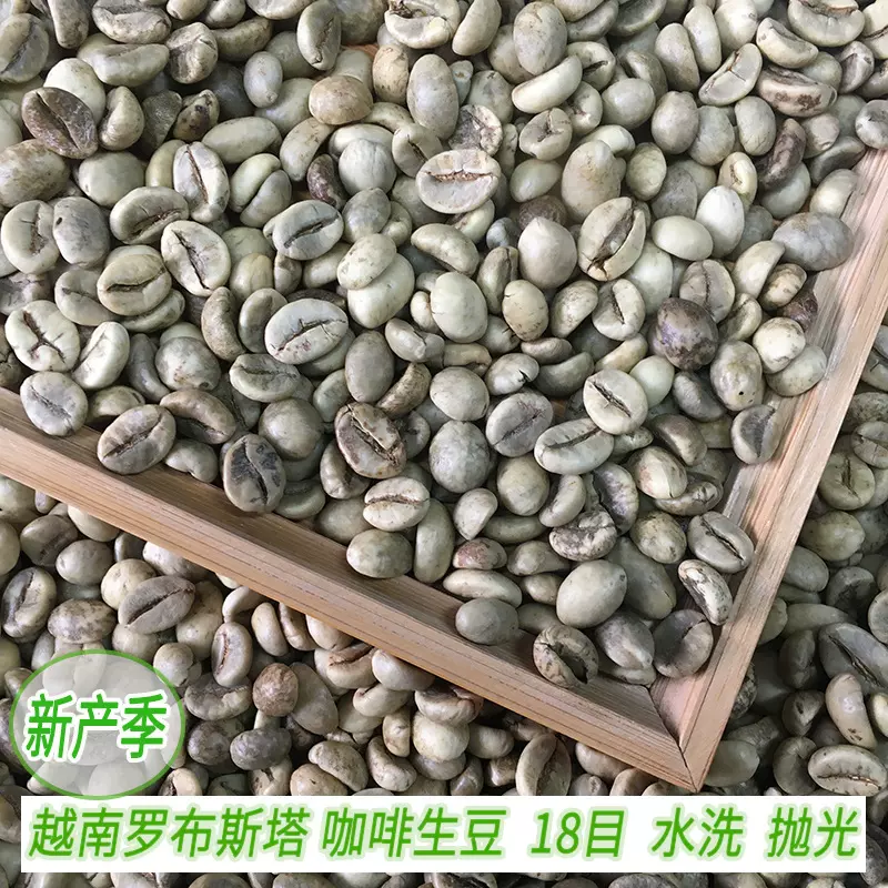 新产季越南罗布斯塔咖啡生豆18目水洗商用原料咖啡生豆工厂直销