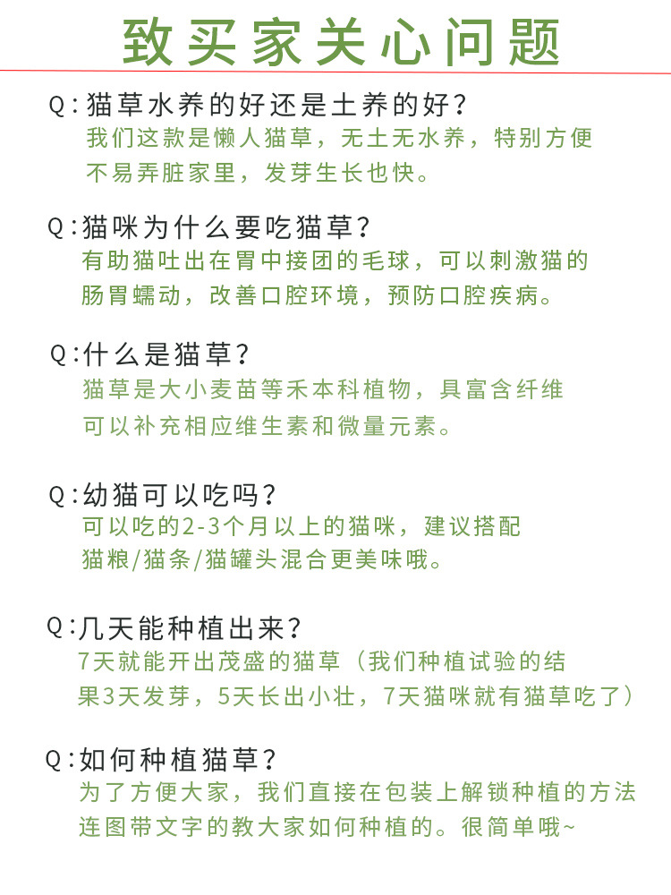 Cat grass nuevo bolsillo cebada en maceta perezosa hidroponía sin suelo gatos herbaceous bulb cat snack