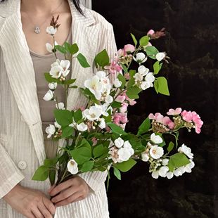 ���溣�Ļ��Ҿӿ͏d�b��ٻ��Ƶ�ܛ�b��ˇ�������յ��߿羳���Q