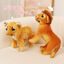 �羳����@�{���ϻ����ӹ���ë�q�沼ż�͏dɳ�l�[����ͯ���նY��