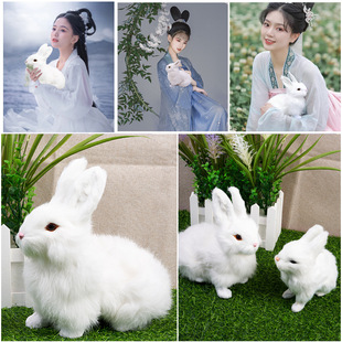 ���L�h�����յ��߹��LС�����Ӄ�ͯ���b�zӰ�����ֳ��Ĕz�[��